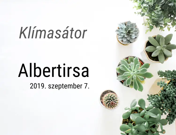 2019albertirsa