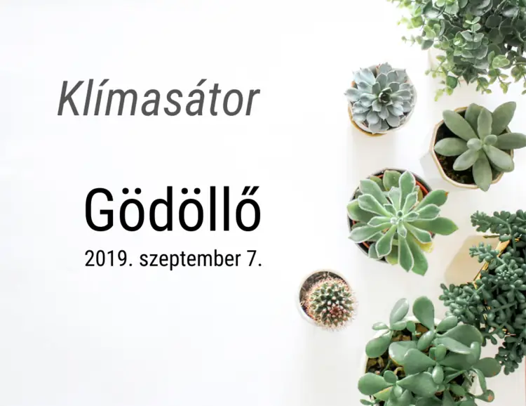 2019godollo